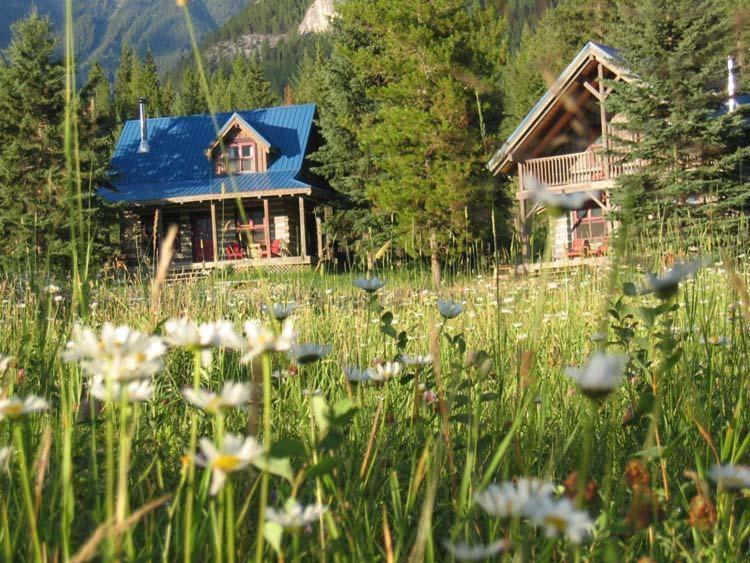 Nipika Mountain Resort Radium Hot Springs Exteriér fotografie